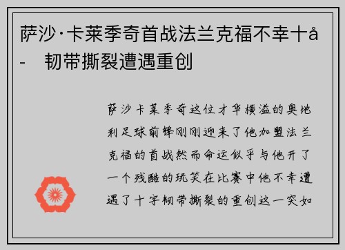 萨沙·卡莱季奇首战法兰克福不幸十字韧带撕裂遭遇重创